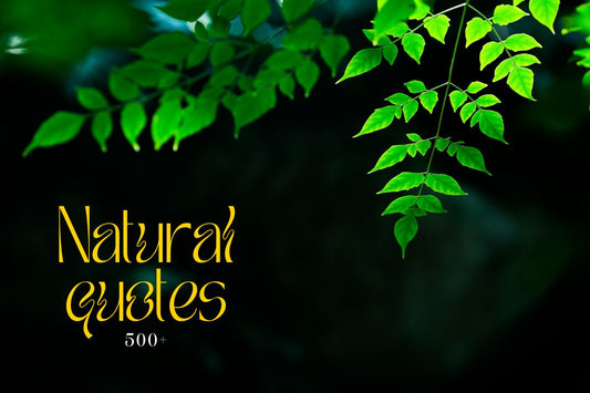500 +Natural Quotes by Poets & Philosophers That Inspire Deeply