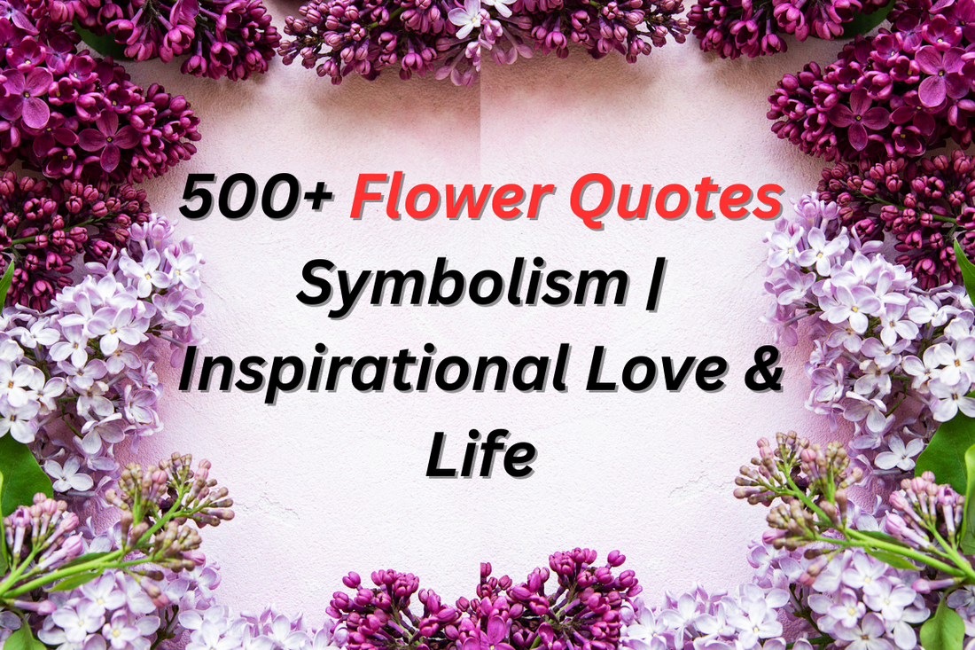 500+ Flower Quotes Symbolism | Inspirational Love & Life