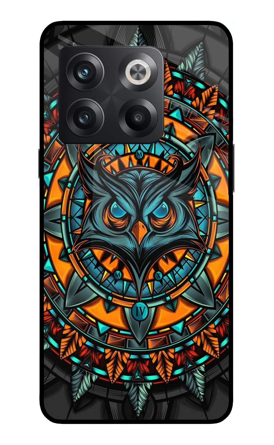 Angry Owl Art OnePlus 10T 5G Back Cover