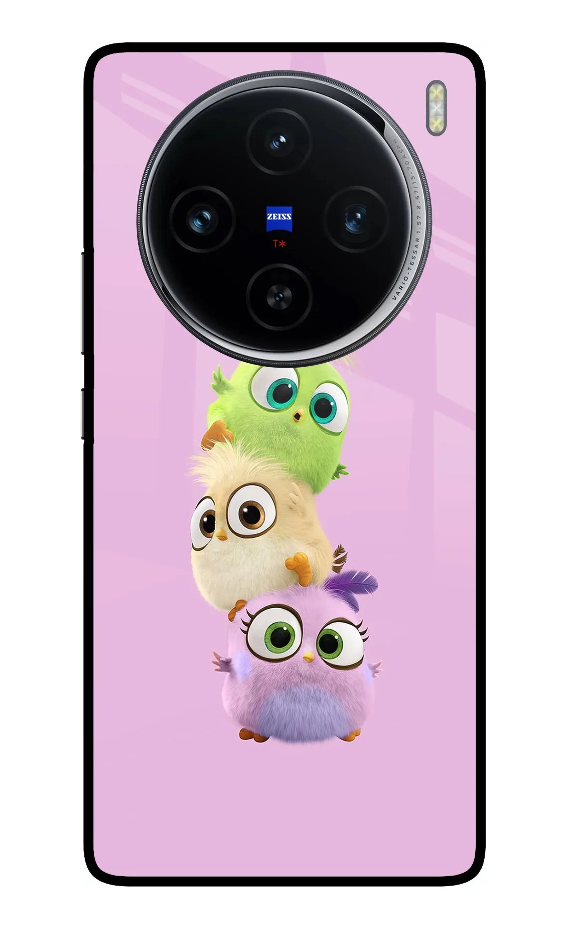 Cute Little Birds Vivo X100 Back Cover