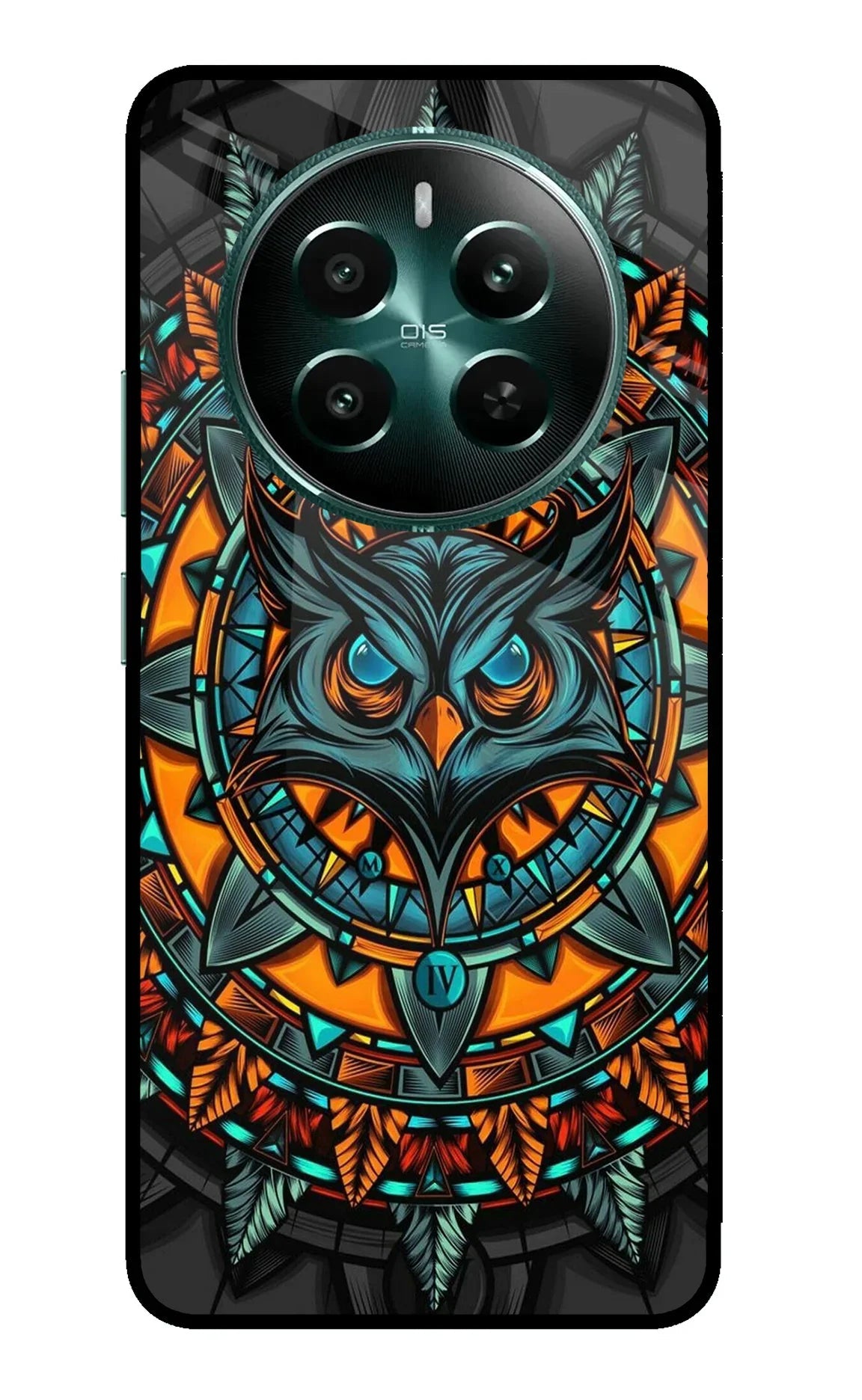Angry Owl Art Realme 12+ 5G Back Cover