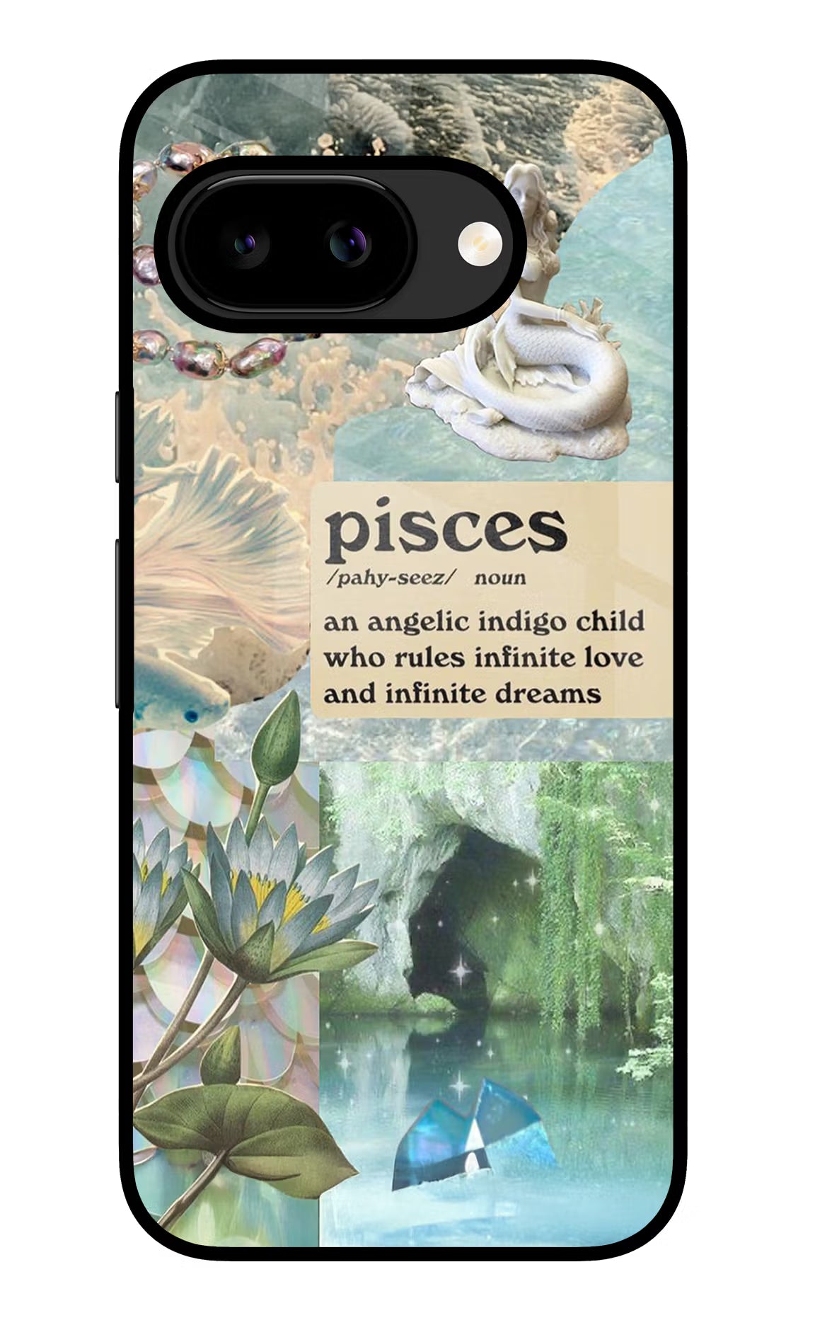 Pisces Zodiac Google Pixel 9a Back Cover Glass Case - Hello Swanky
