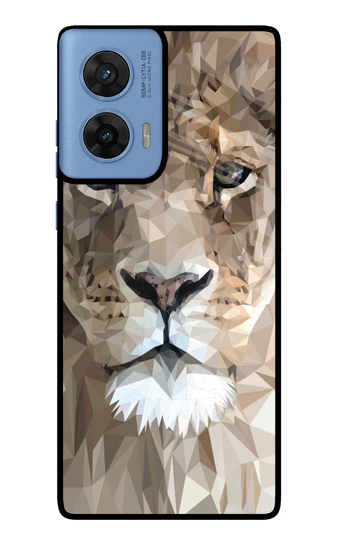 Lion Art Moto G96 5G Back Cover
