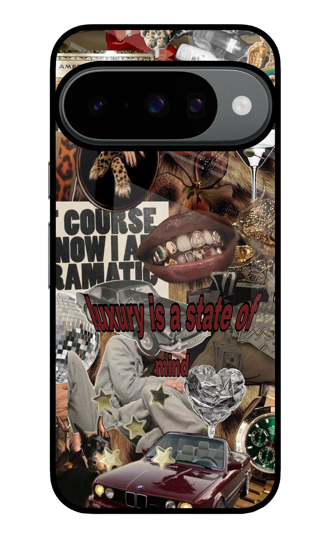 Luxury Google Pixel 10 Back Cover