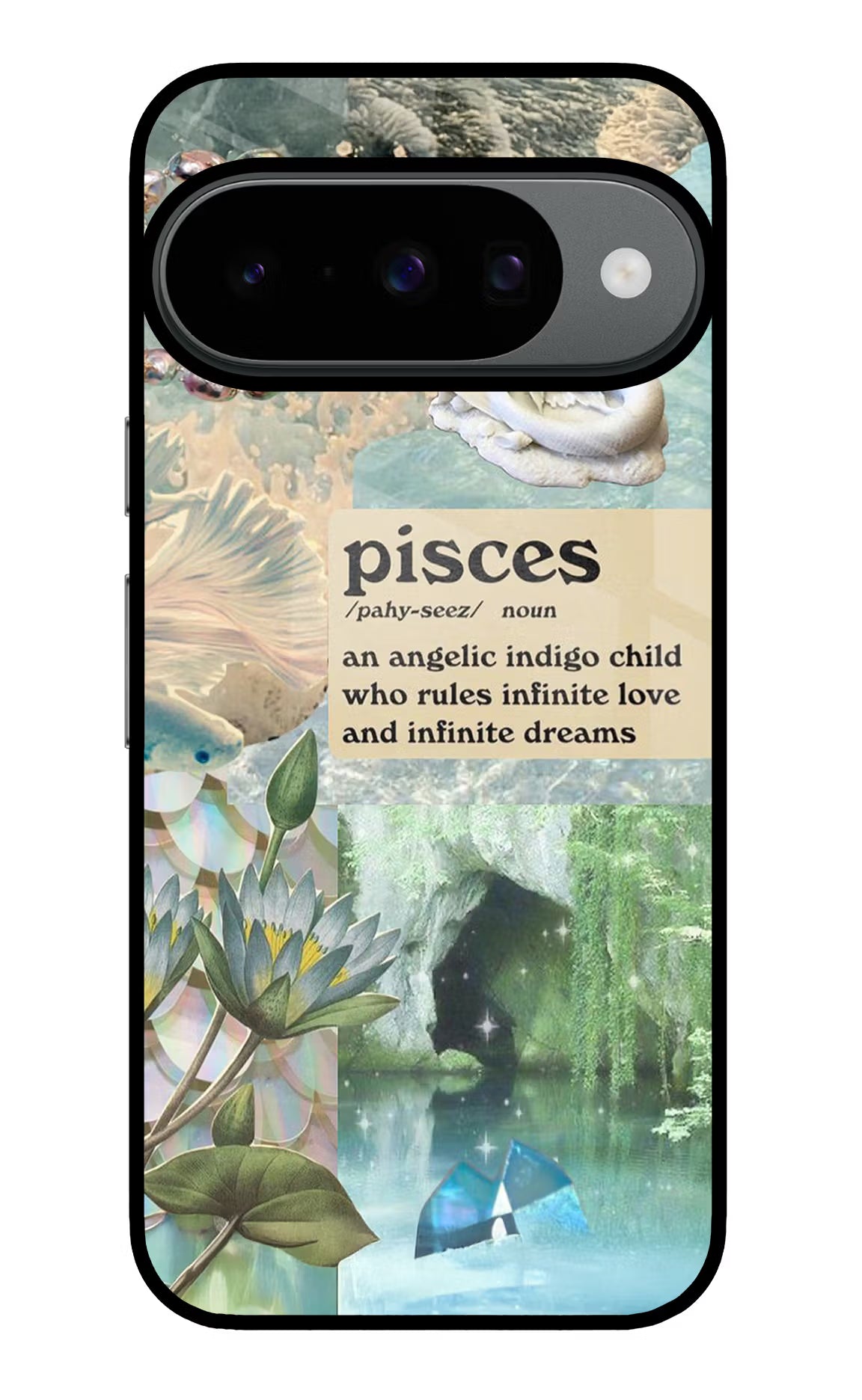 Pisces Zodiac Google Pixel 10 Back Cover