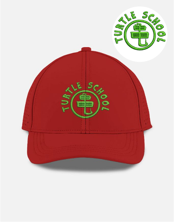 Turtle School Embroidered Anime Style Sport Cap Streetwear Hat