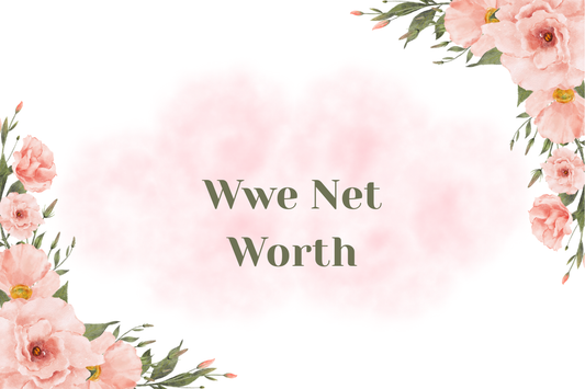 Wwe Net Worth