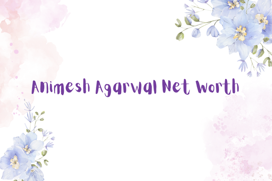 Animesh Agarwal Net Worth
