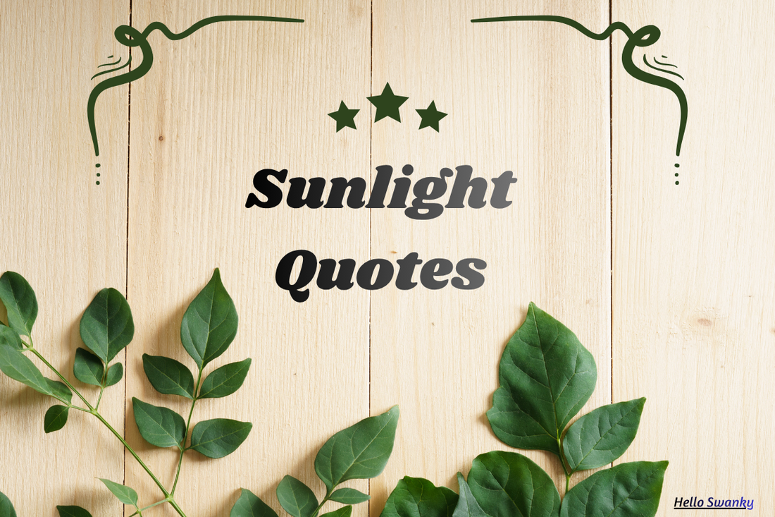 Sunlight Quotes