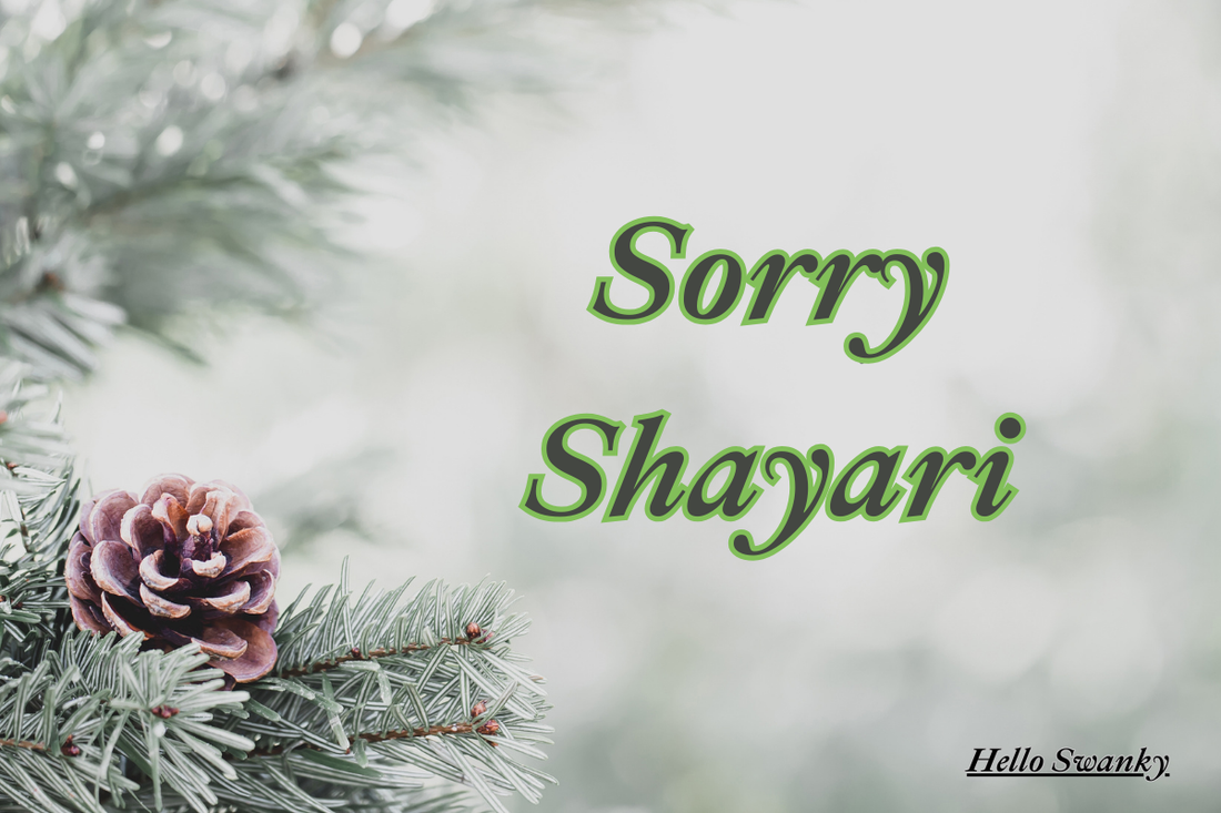 250+ Sorry Shayari – Heart Touching Apology Shayari in Hindi & English