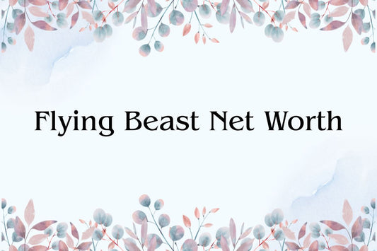 Flying Beast Net Worth