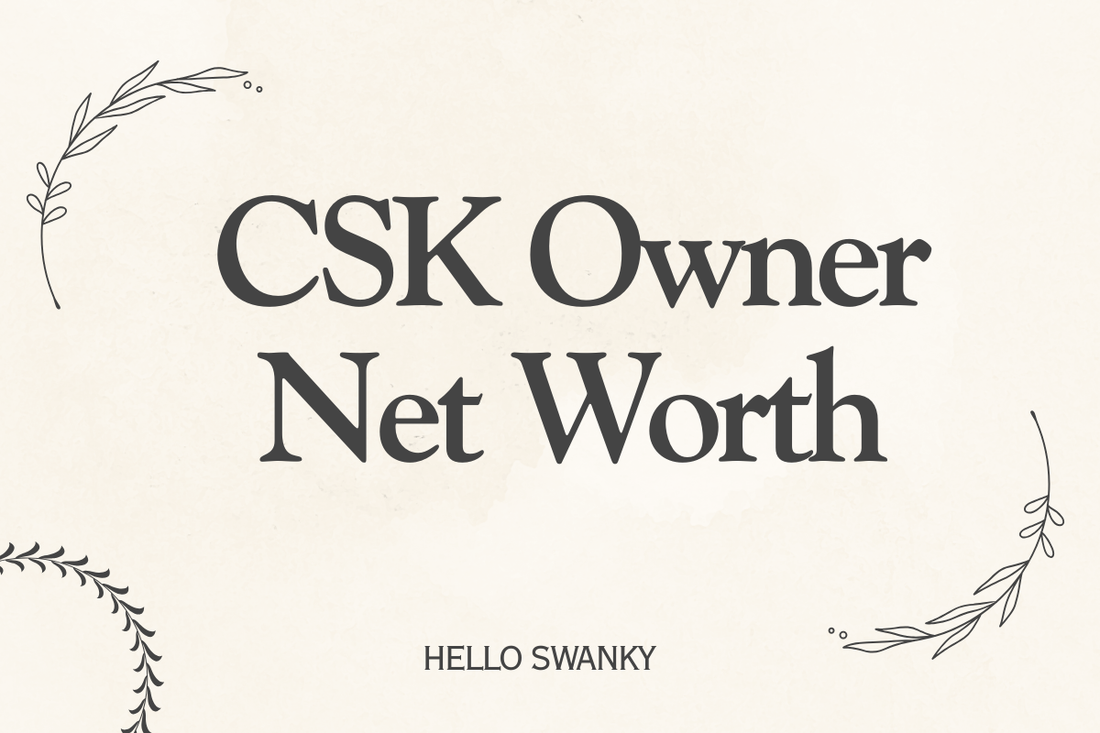 CSK Owner Net Worth