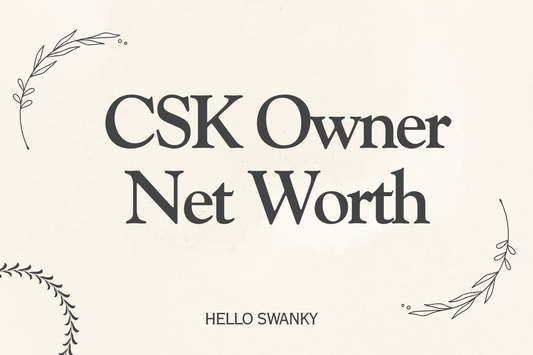 CSK Owner Net Worth