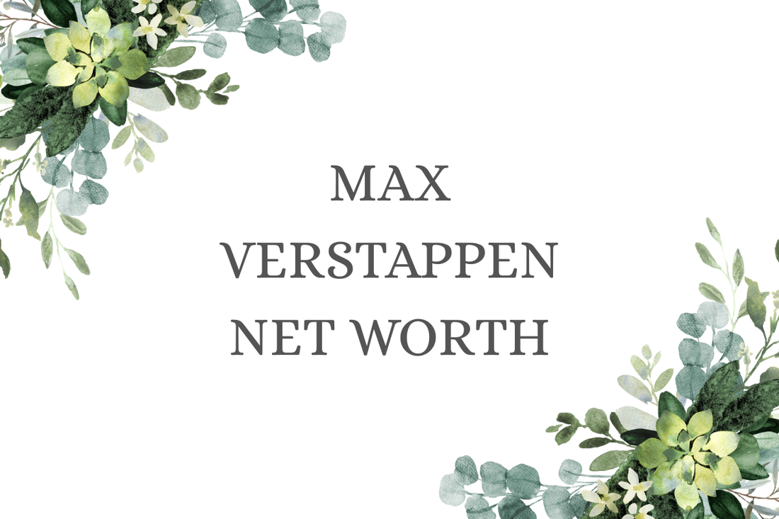 Max Verstappen Net Worth
