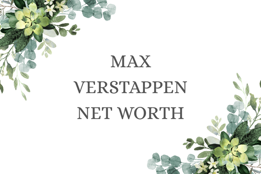 Max Verstappen Net Worth