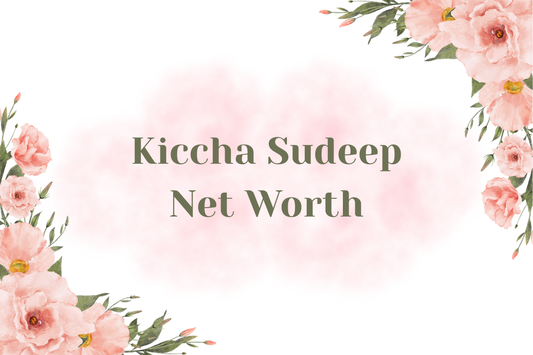 Kiccha Sudeep Net Worth