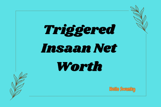 Triggered Insaan Net Worth