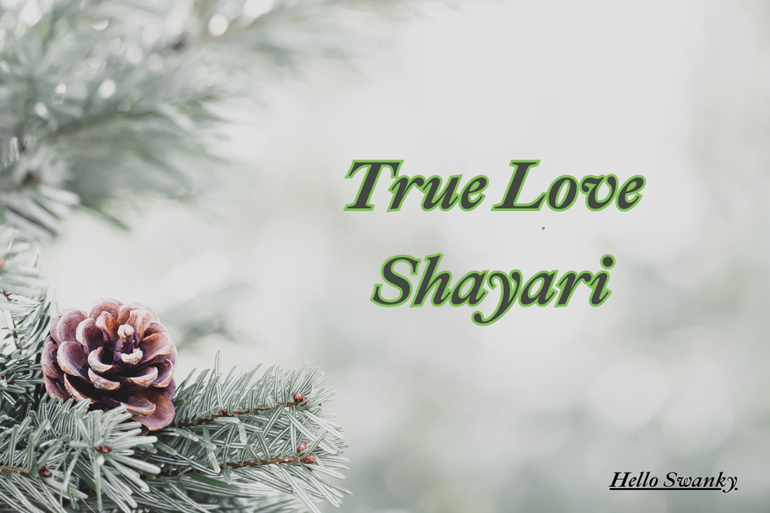 200+ True Love Shayari – Heart Touching, Romantic & Emotional Hindi English