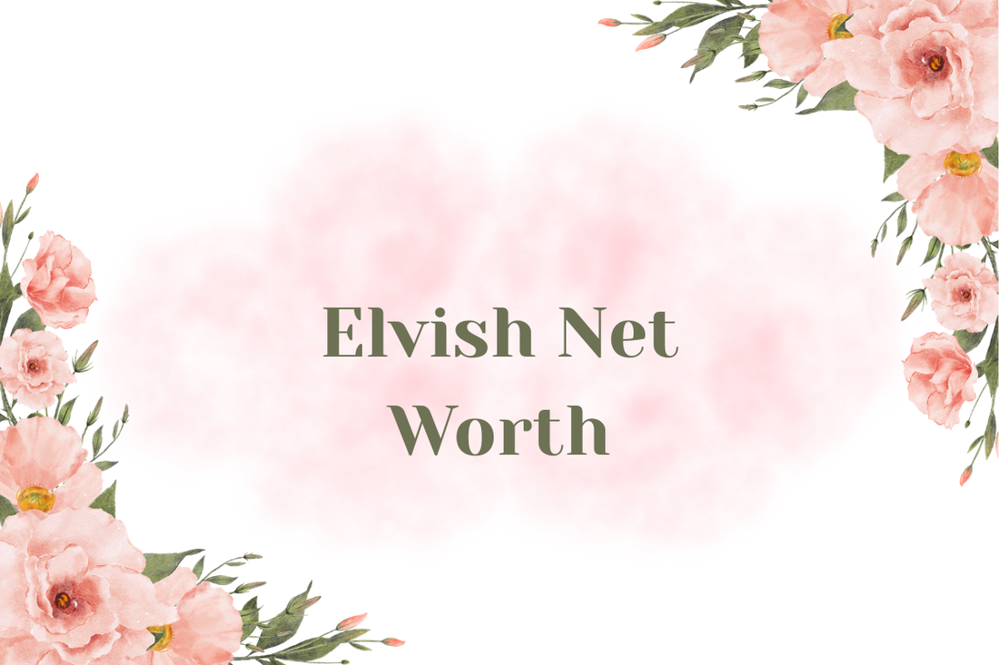 Elvish Net Worth