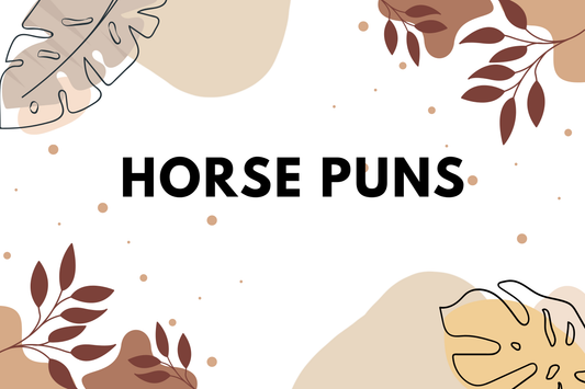 Horse Puns