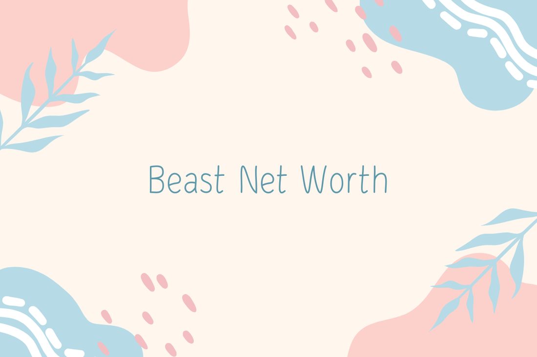 Beast Net Worth
