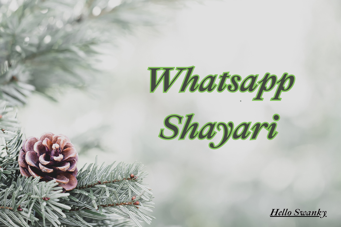 200+ WhatsApp Shayari – Best Shayari for DP, Status, Bio & Emotional Moments