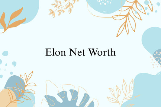 Elon Net Worth