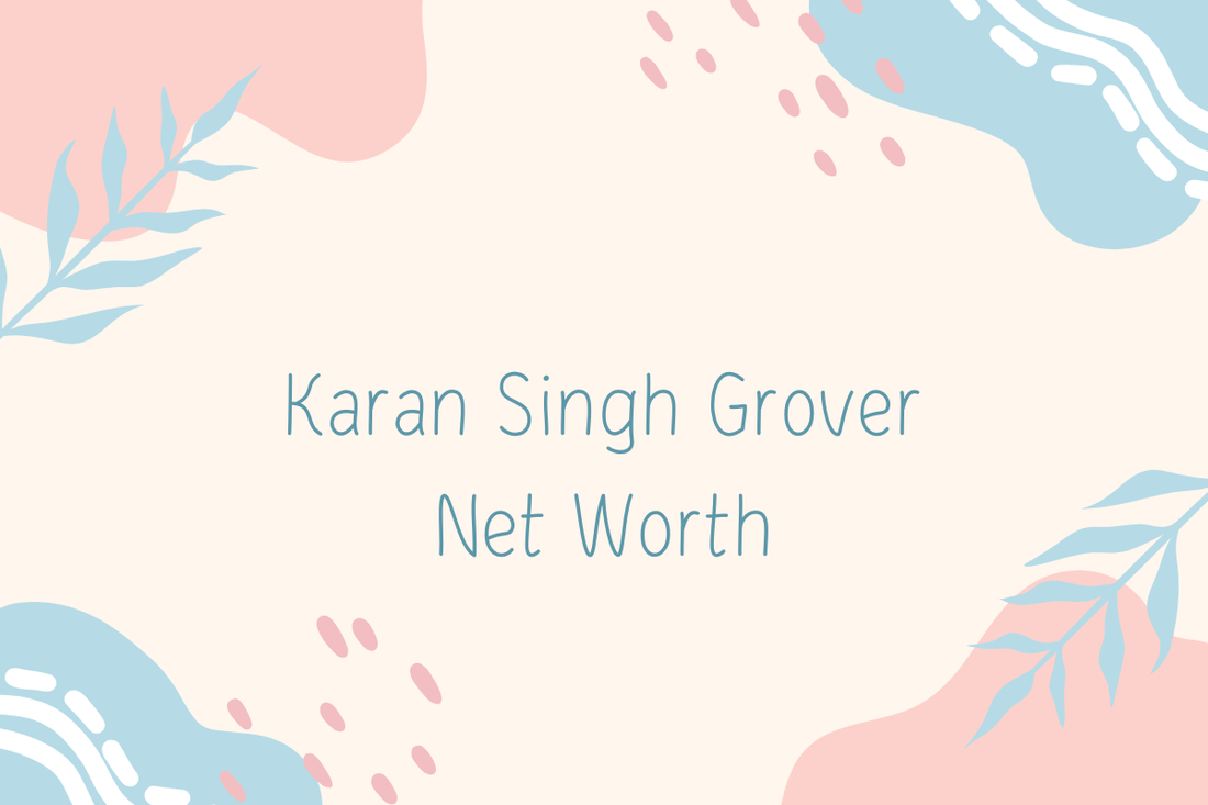 Karan Singh Grover Net Worth
