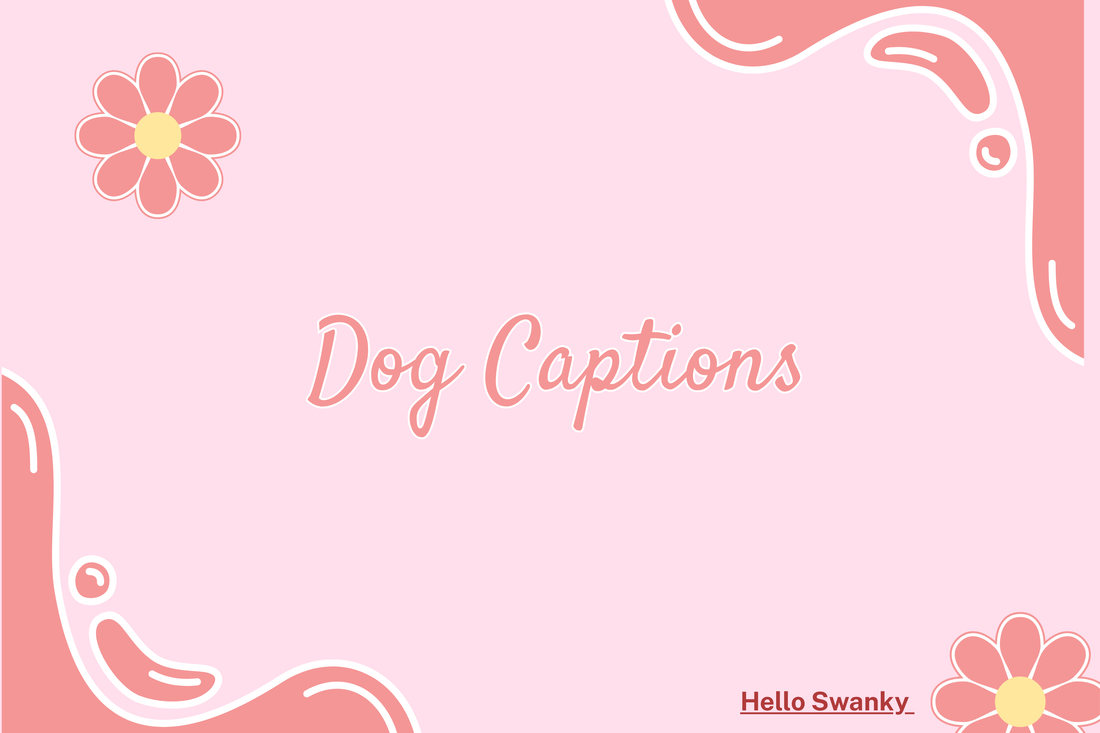 Dog Captions