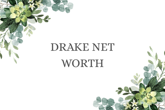 Drake Net Worth