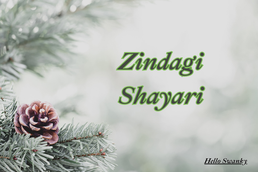 200+ Zindagi Shayari