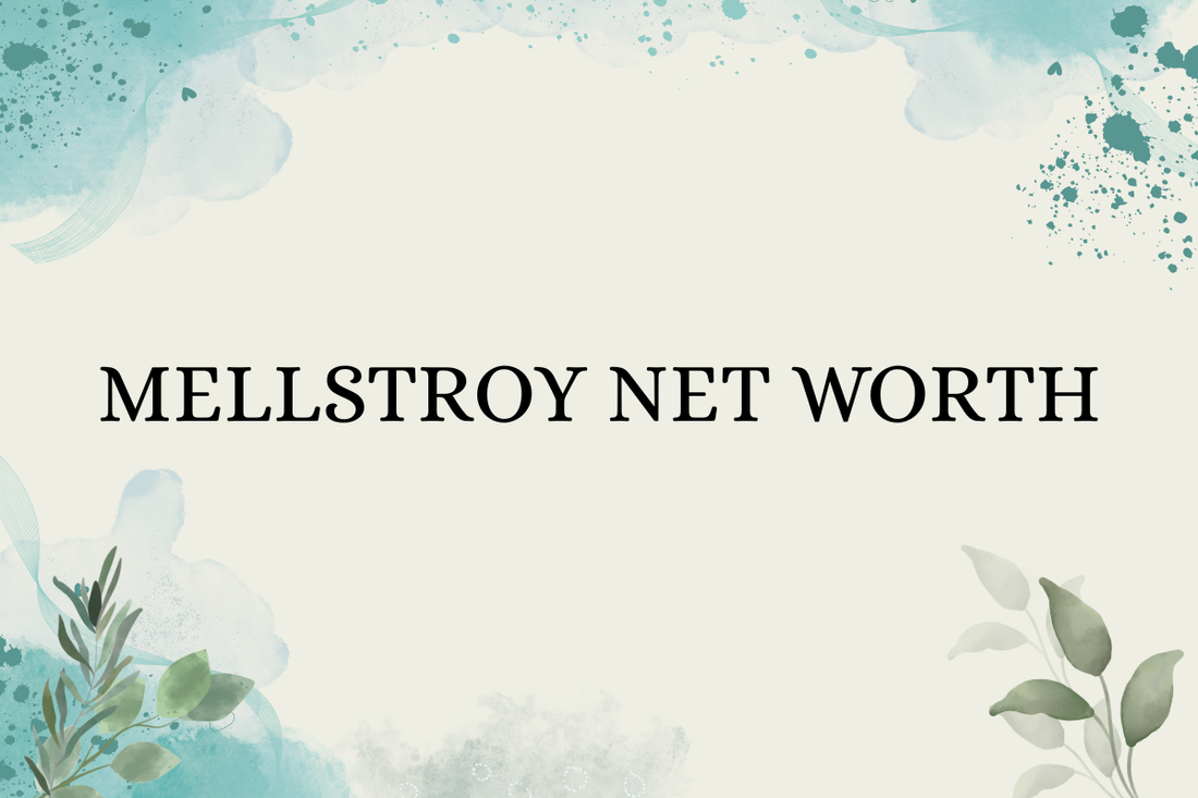 Mellstroy Net Worth