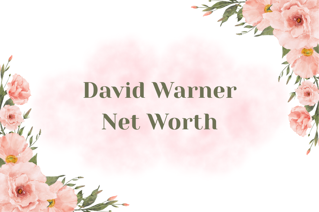 David Warner Net Worth