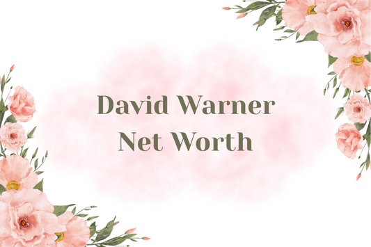 David Warner Net Worth