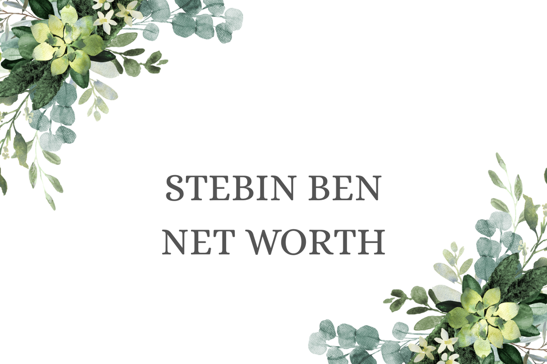 Stebin Ben Net Worth