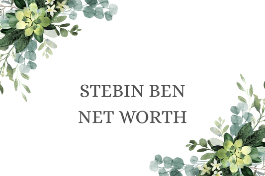 Stebin Ben Net Worth