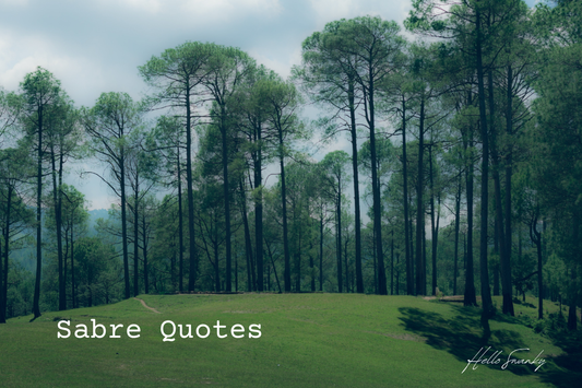 Sabre Quotes