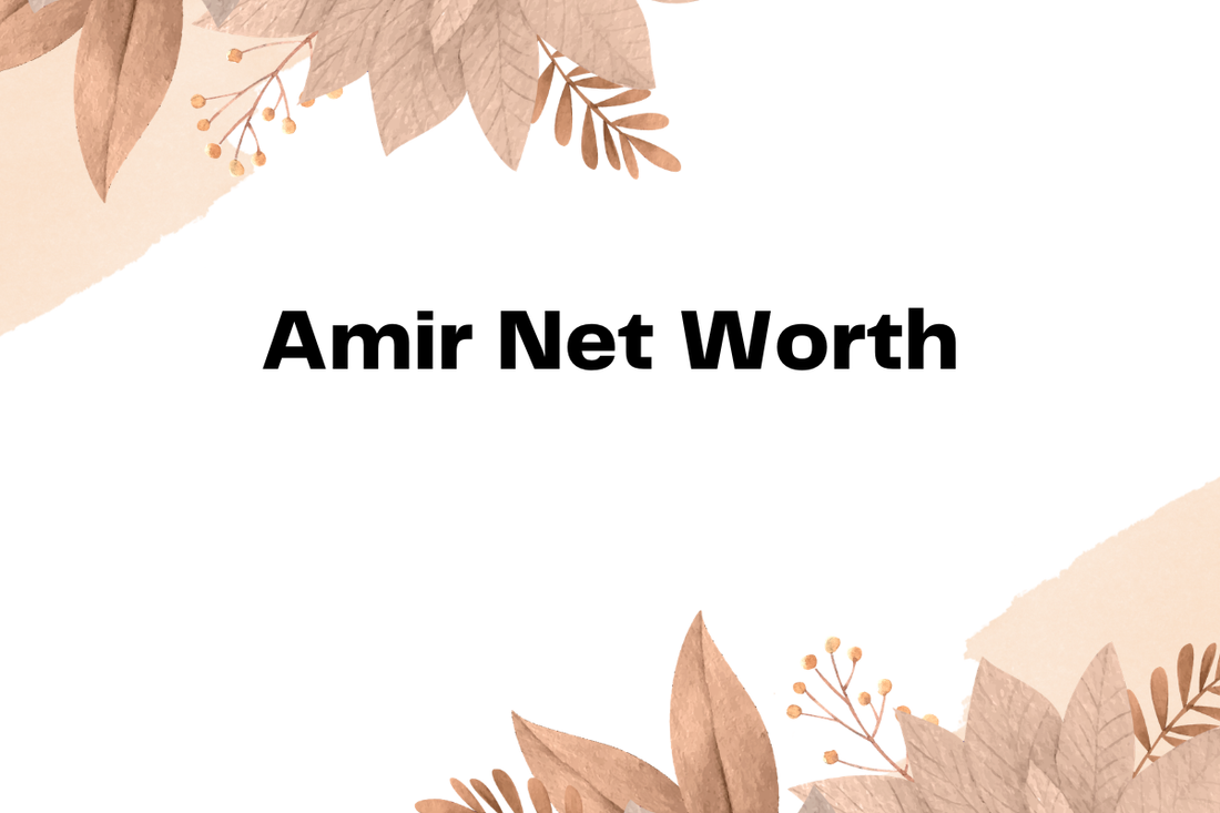 Amir Net Worth