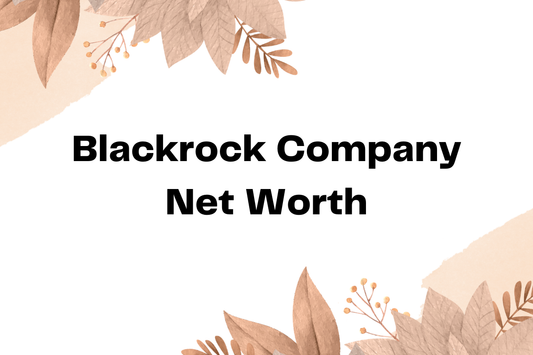 Blackrock Company Net Worth