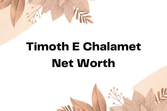 Timoth E Chalamet Net Worth