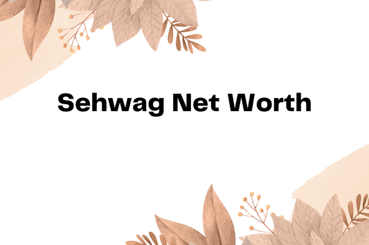 Sehwag Net Worth