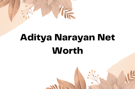 Aditya Narayan Net Worth