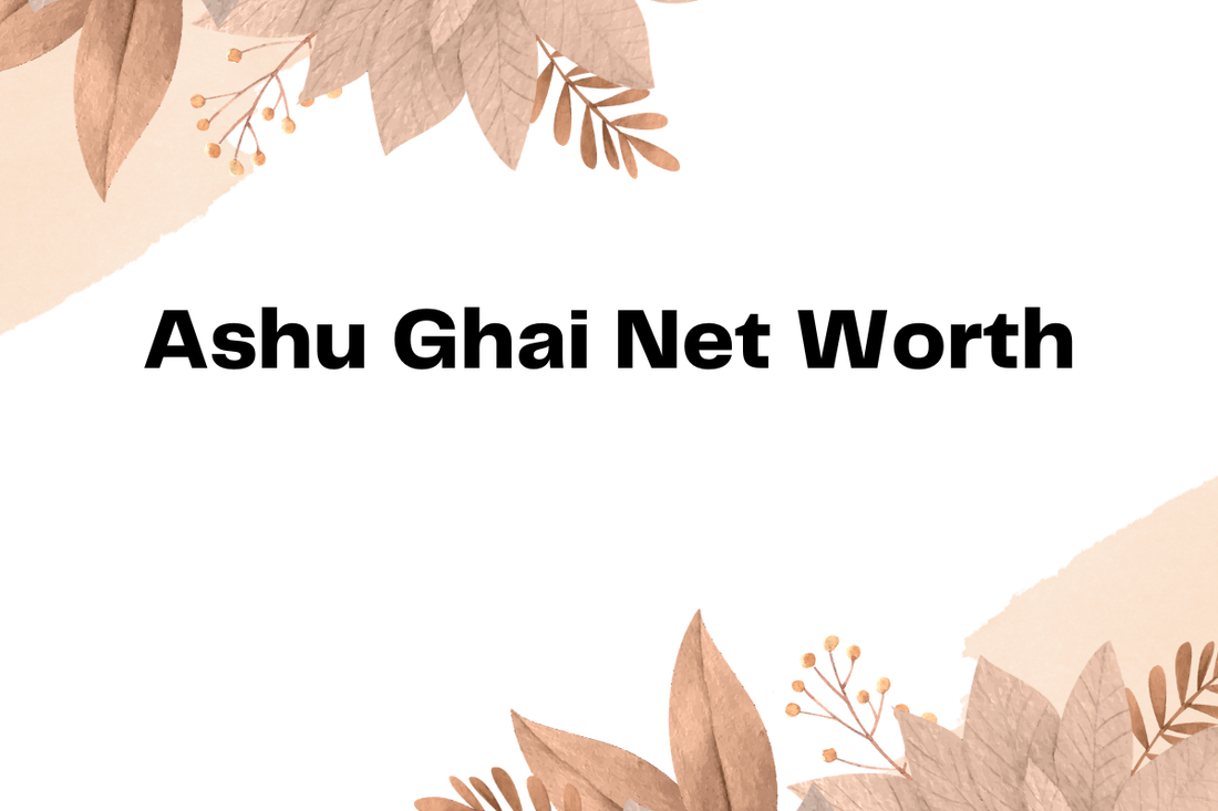 Ashu Ghai Net Worth