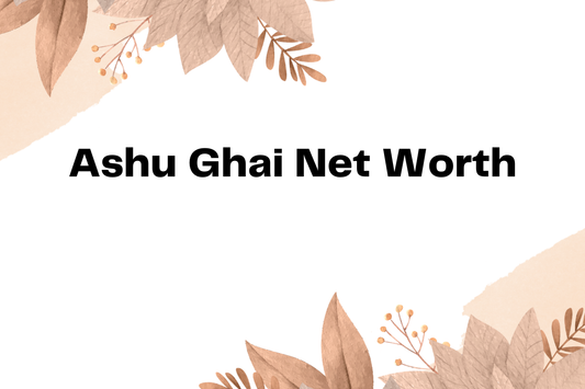 Ashu Ghai Net Worth