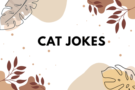 Cat Jokes