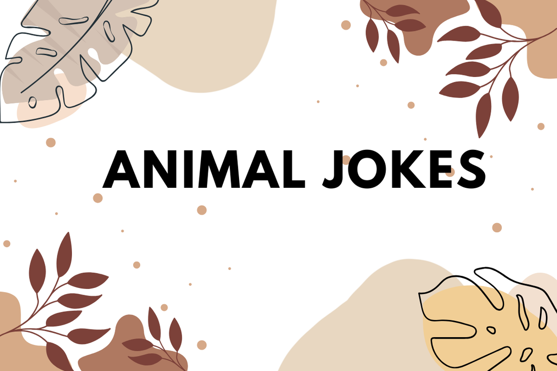 Animal Jokes