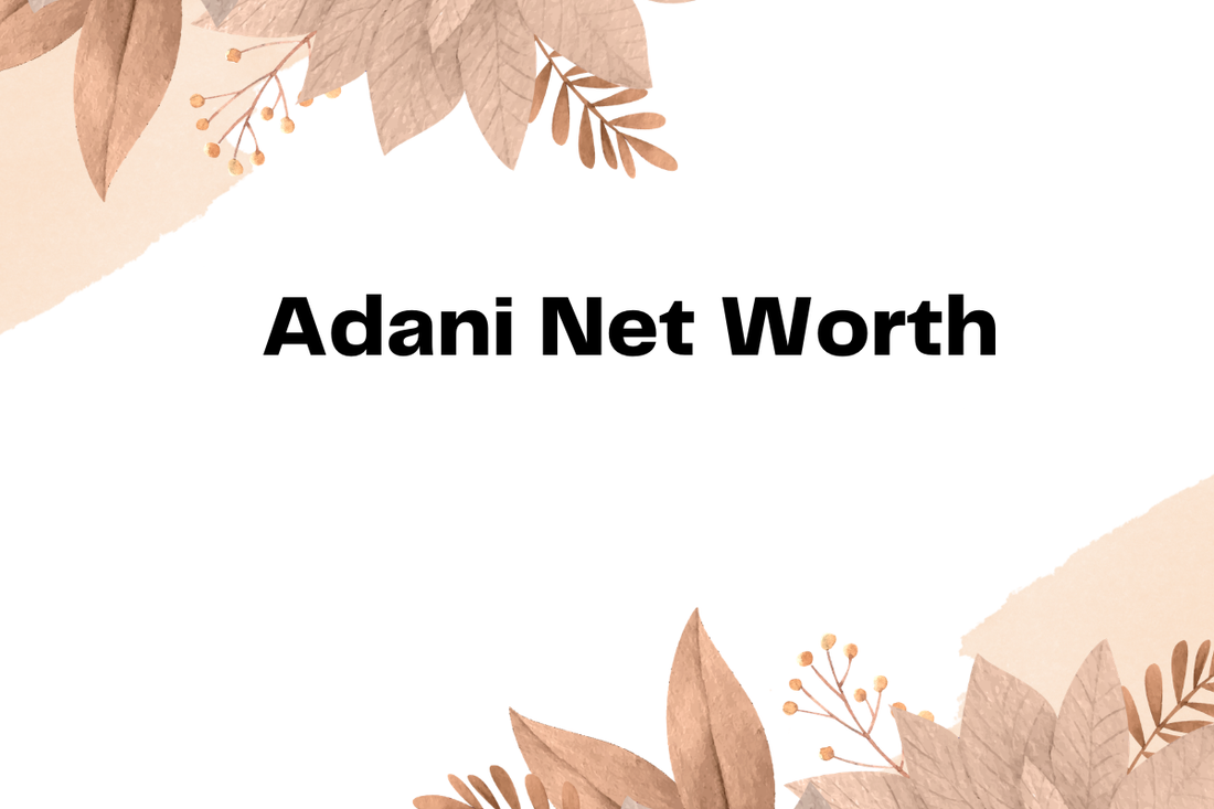 Adani Net Worth