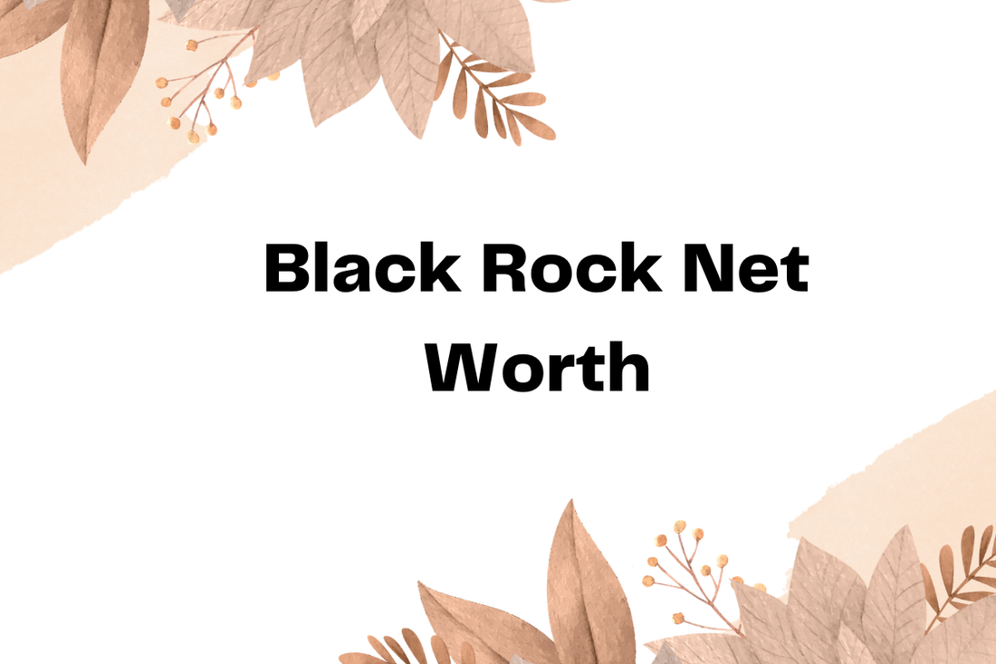 Black Rock Net Worth