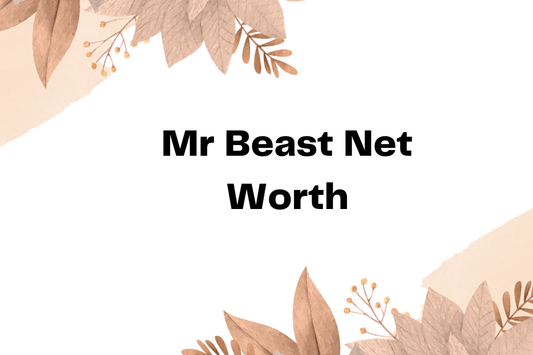 Mr Beast Net Worth