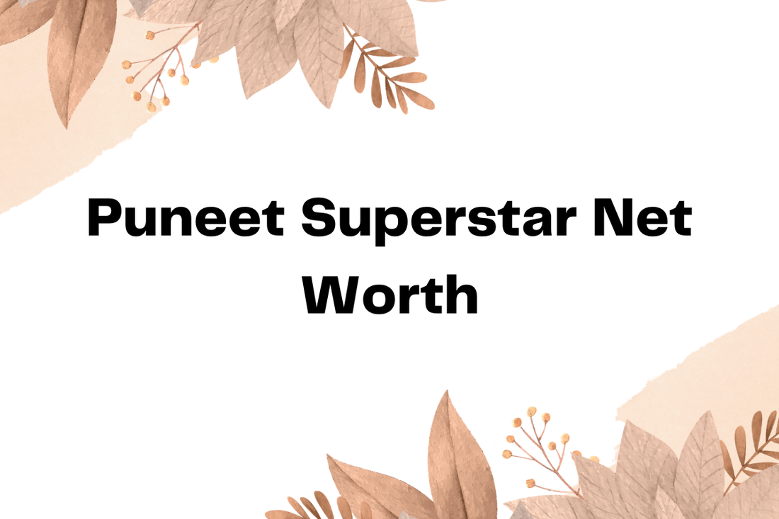 Puneet Superstar Net Worth